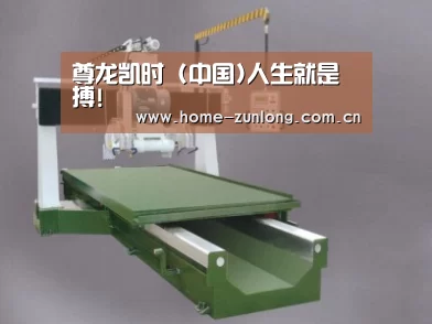 产品名称九