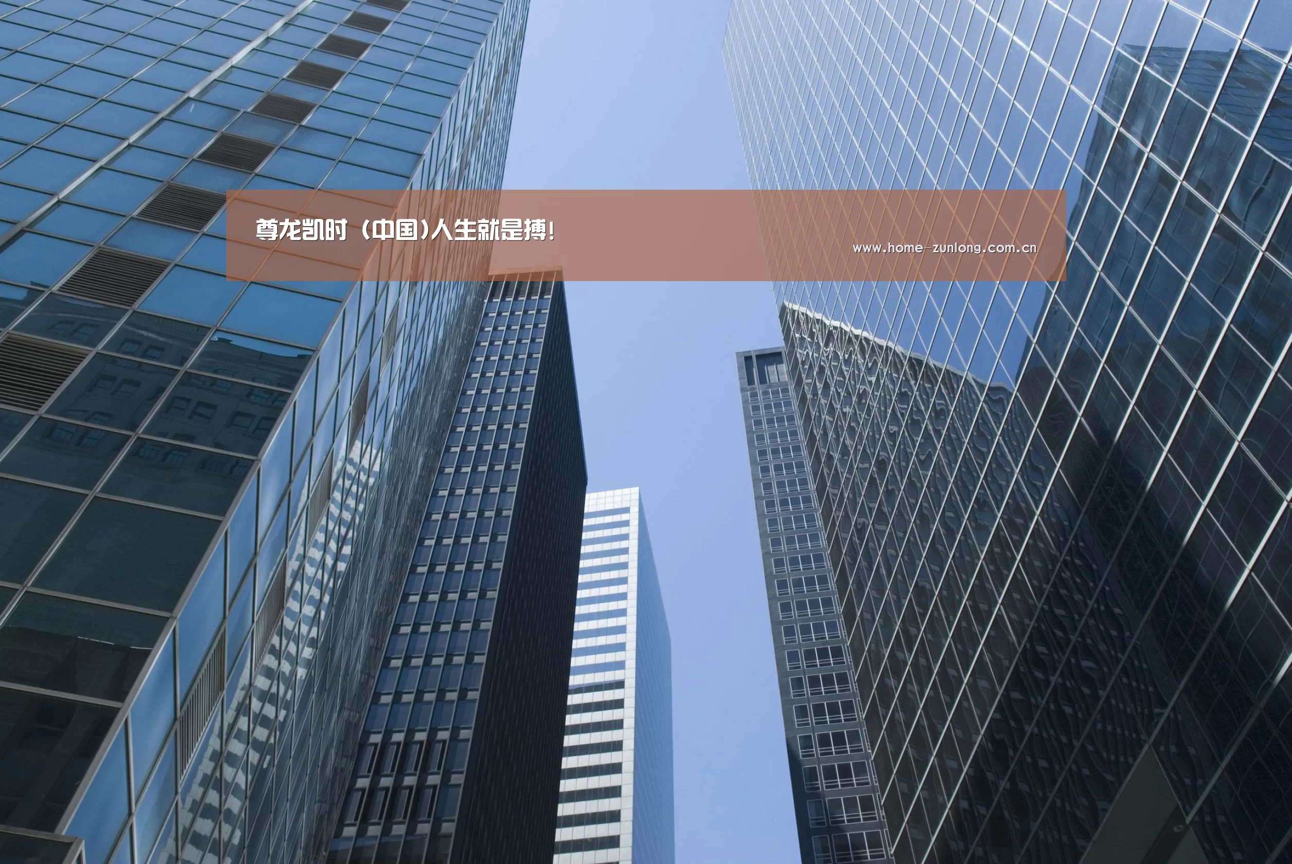 尊龙凯时公司简介 