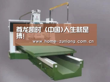 产品名称十