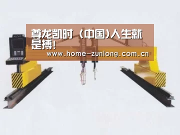产品名称十九