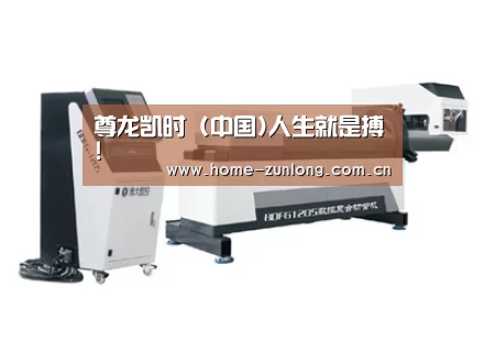 案例展示三